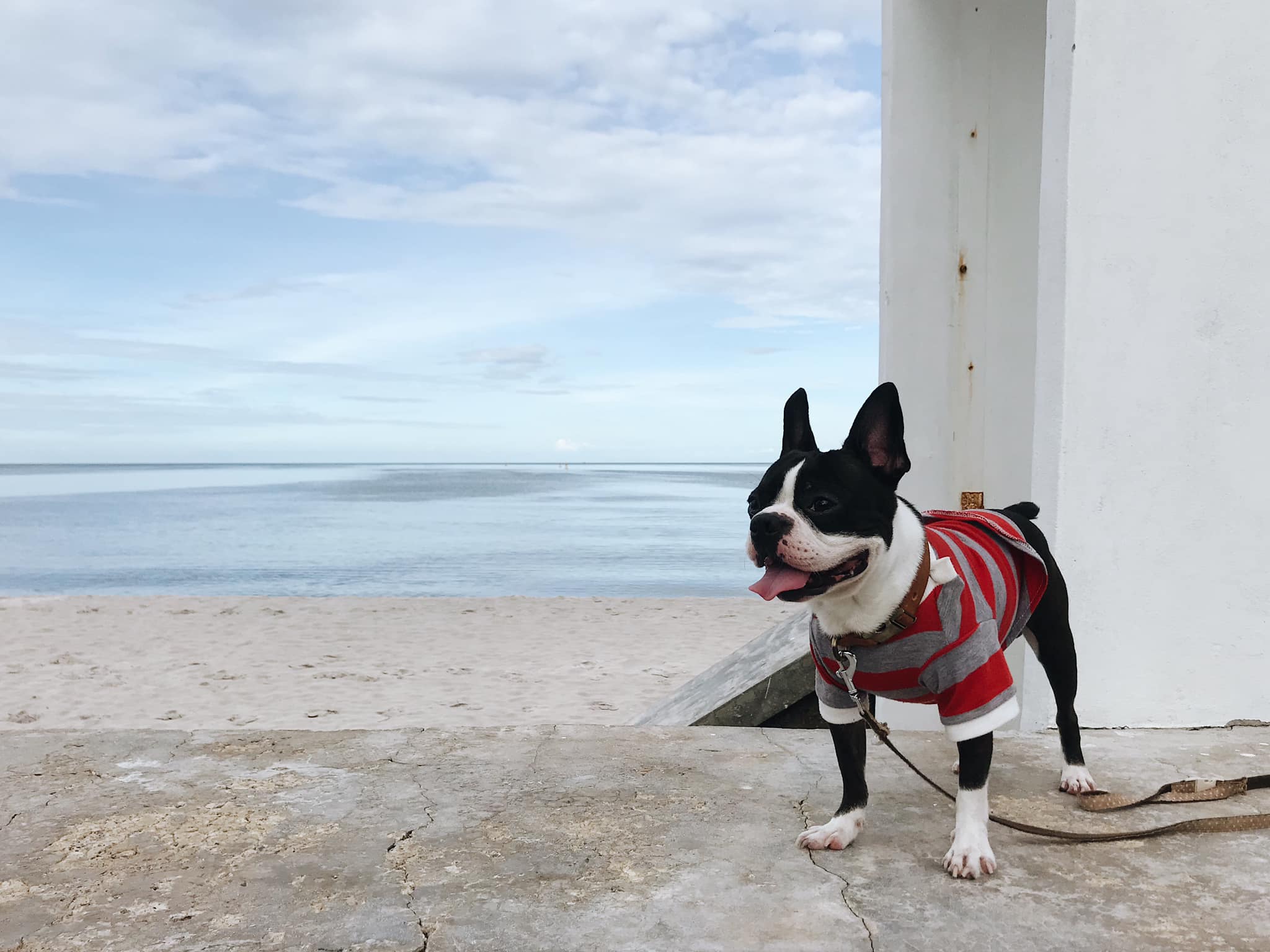 เดอะ เฮ็น หัวหิน (The Hen Hua Hin) รีสอร์ท สุนัขพักได้ ติดชายหาดหัวหิน ประจวบคีรีขันธ์