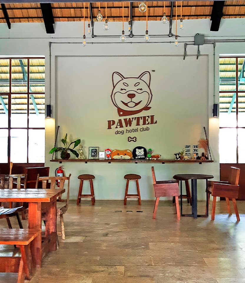 โรงแรม Pawtel แม่ริม เชียงใหม่ หมาเล็กหมาใหญ่พักได้ ใกล้ที่เที่ยวม่อนแจ่ม พาหมาเที่ยวเชียงใหม่กัน
