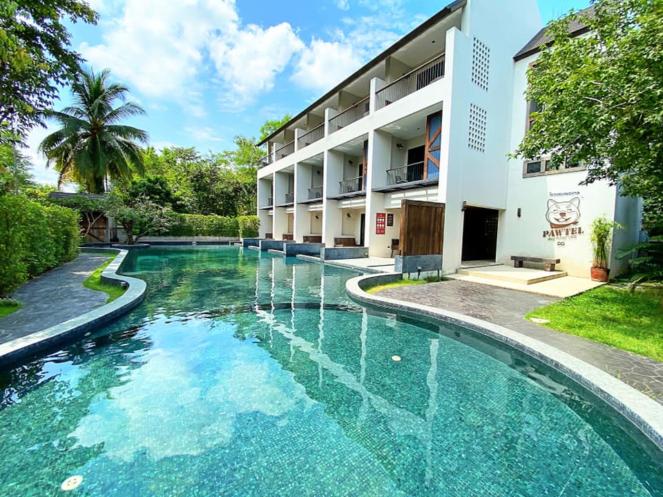 โรงแรม Pawtel แม่ริม เชียงใหม่ หมาเล็กหมาใหญ่พักได้ ใกล้ที่เที่ยวม่อนแจ่ม พาหมาเที่ยวเชียงใหม่กัน