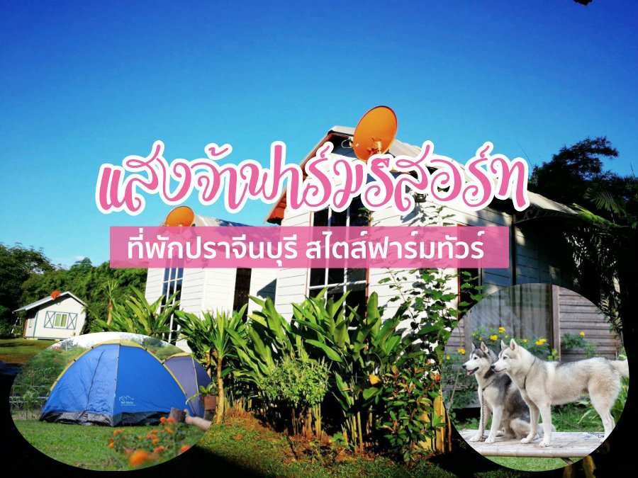 Saengcha Farm Resort แสงจ้าฟาร์มรีสอร์ท ที่พักปราจีนบุรี สไตส์ฟาร์มทัวร์ หมาเข้าพักได้ทุกสายพันธ์