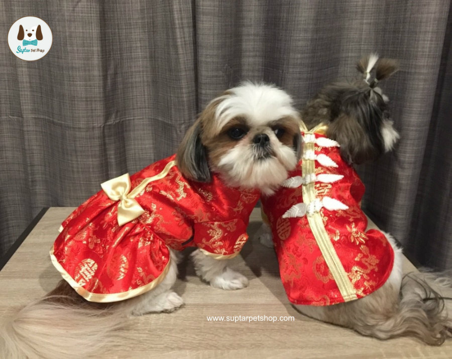 เสื้อจีนสุนัข เสื้อจีนหมา เสื้อจีนแมว 