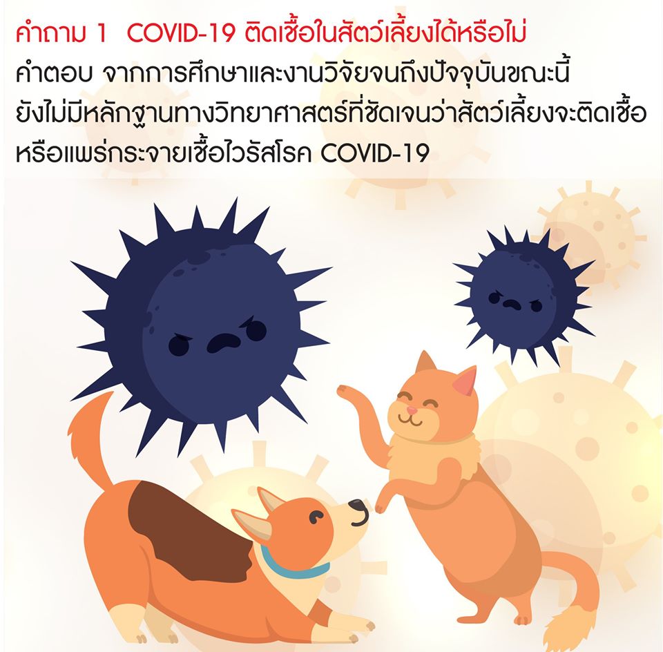 COVID-19 กับสัตว์เลี้ยง