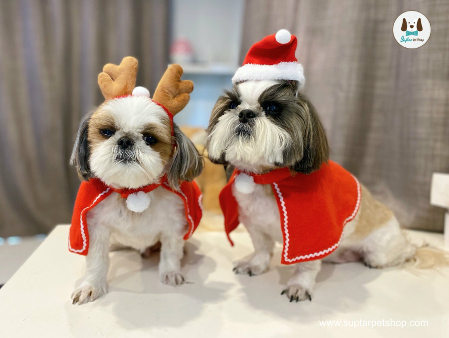 ชุดคริสต์มาสสัตว์เลี้ยง ชุดแฟนซีหมา แมว ผ้าคลุมกันหนาว ผ้าคลุมซานต้า หมวกซานต้า หมวกกวางซานต้า ของตกแต่งวันคริสต์มาสน้องหมาแมว