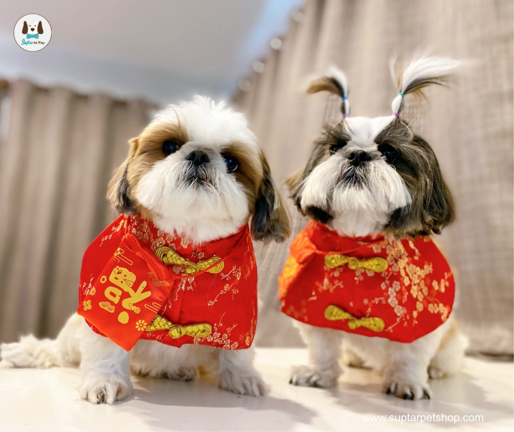 เสื้อตรุษจีนสำหรับสัตว์เลี้ยง เสื้อหมา เสื้อแมว ชุดแฟนซีหมาแมว ชุดจีนหมาแมว ชุดกี่เพ้าหมาแมว รองรับมี เสื้อจีนหมาใหญ่ด้วย