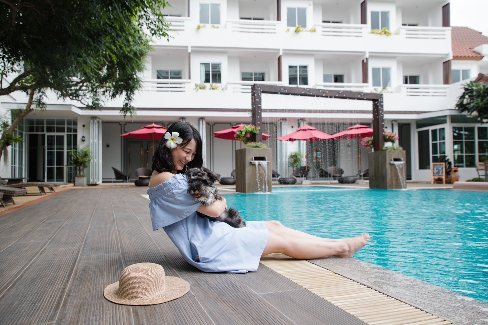 Jerhigh x Hill Fresco Hotel Pattaya โรงแรมหมาสัตว์เลี้ยงพักได้ พัทยา ฟรี!ค่านำเข้าสัตว์เลี้ยง ถึง 30 พฤศจิกายน 2564  มีบริการเบาะนอนน้องหมาและขนมแถมฟรีให้อีกด้วย