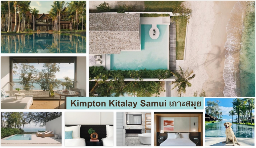 พาหมาเที่ยวเกาะสมุย Kimpton Kitalay Samui โรงแรมคิมป์ตัน คีตาเล โรงแรมหรู 5 ดาว ที่พักหมาพักติดทะเล สัตว์เลี้ยงเข้าพักได้ฟรี ทุกสายพันธ์ สุดยอดโรงแรม  Pet friendly hotel