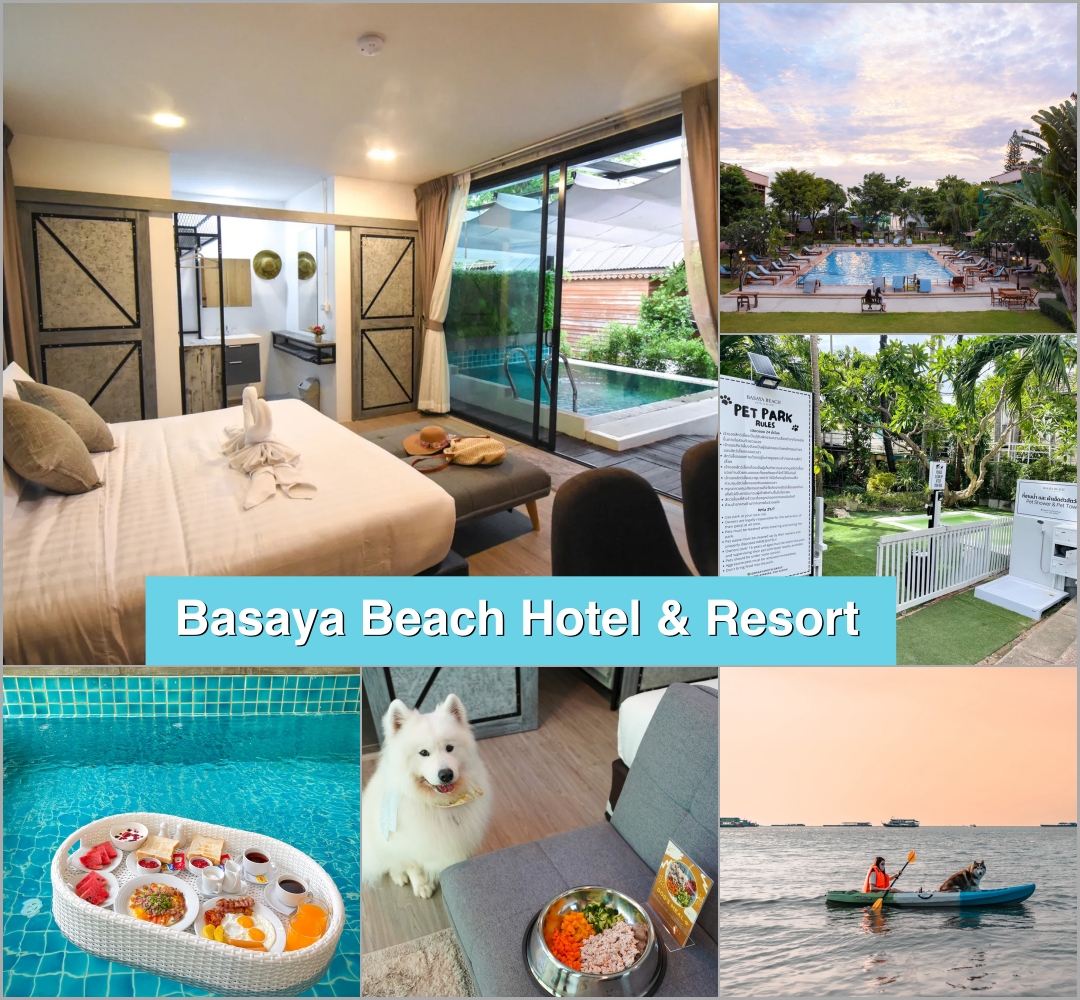 Basaya-Beach-Hotel-&amp;-Resort.jpg