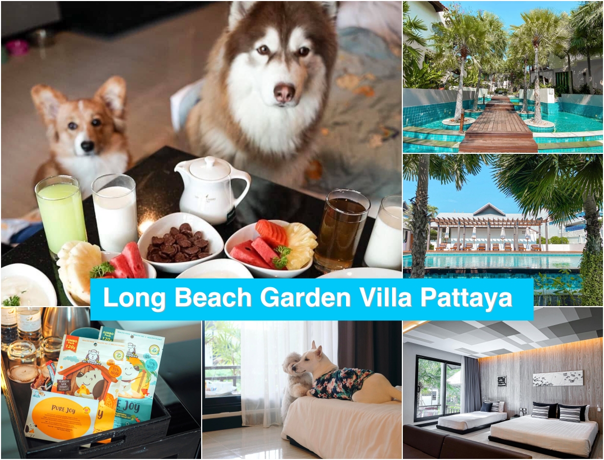 พาสุนัขเที่ยวทะเลพัทยา Long Beach Garden Villa Pattaya ที่พักพัทยา สุนัขพักได้  Pet Friendly hotel ระดับ 4 ดาว หมาเล็กใหญ่เข้าพักได้ชิวๆ