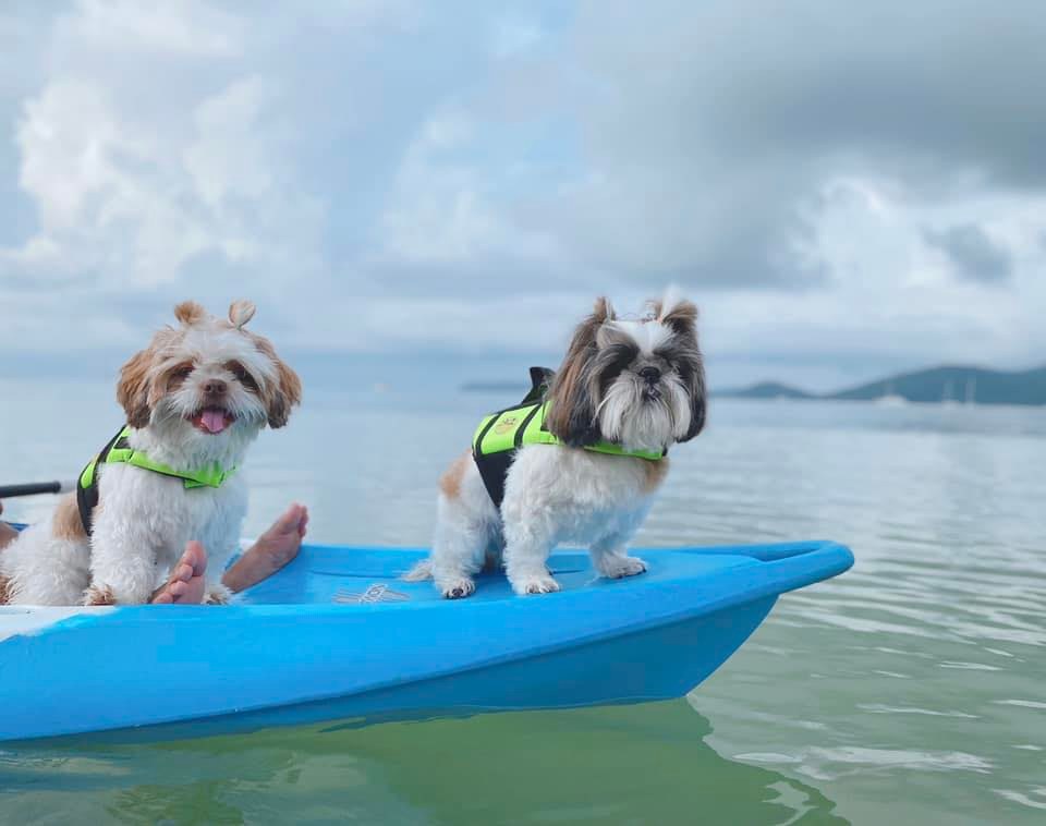 เอ๊ะ!จานข้าวหายไปไหนนะ?