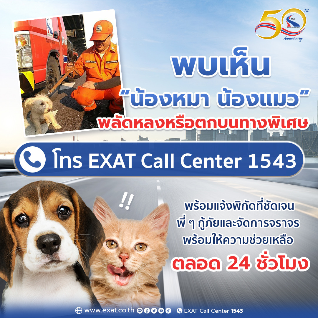 หากพบเห็นน้องหมาน้องแมว บนทางพิเศษ โทรแจ้ง EXAT Call Center 1543 ได้เลยน้องหมาปลอดภัย ตลอด 24 ชั่วโมง