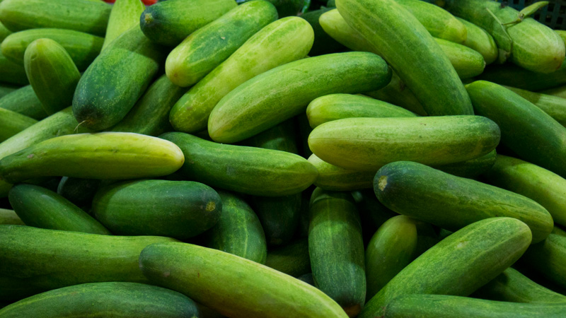 pile-of-fresh-green-cucumbers-589586098-582be56b3df78c6f6a853d81.jpg