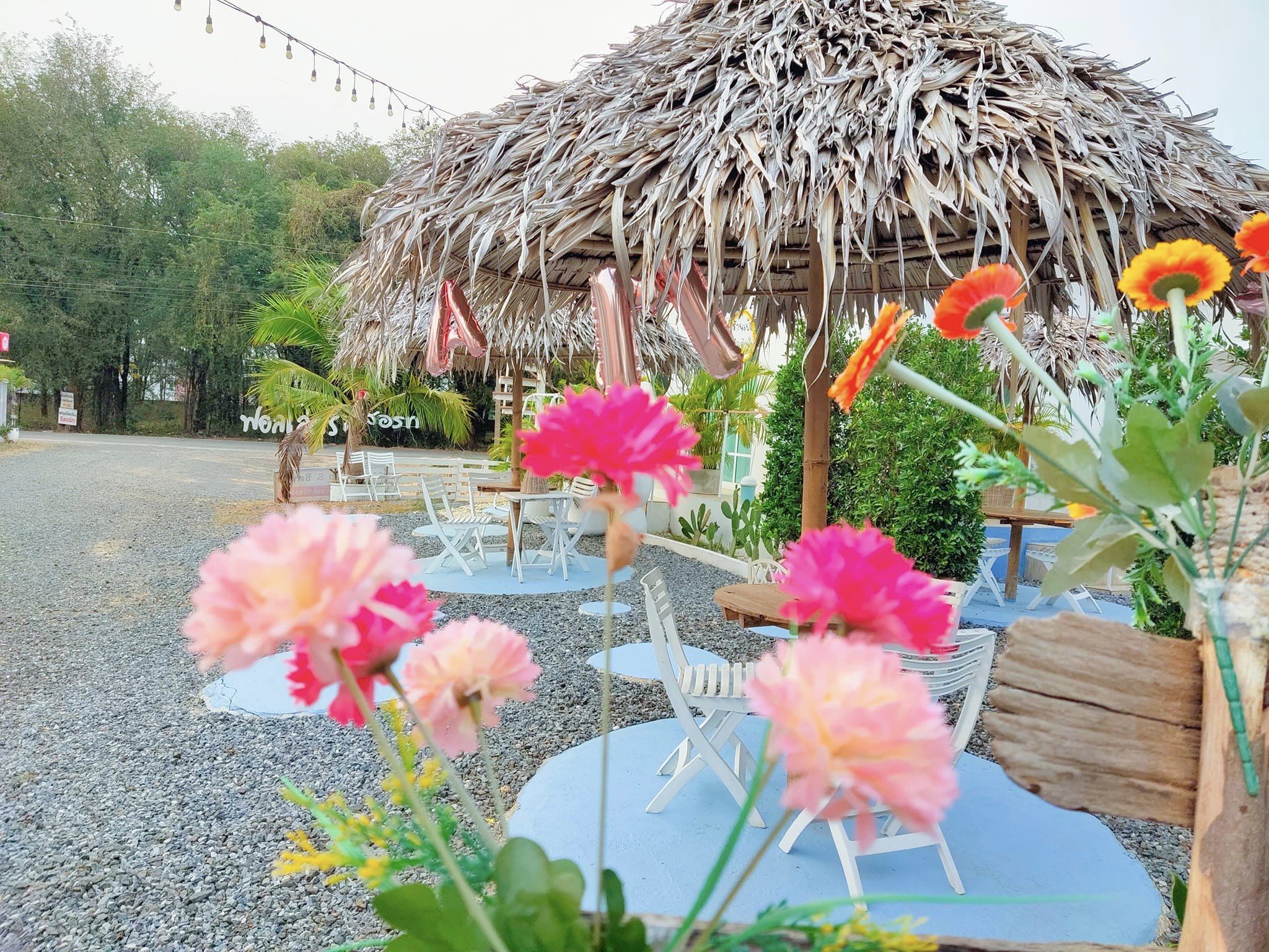 340816534_139621195560584_6622701072641555784_n (1).jpg