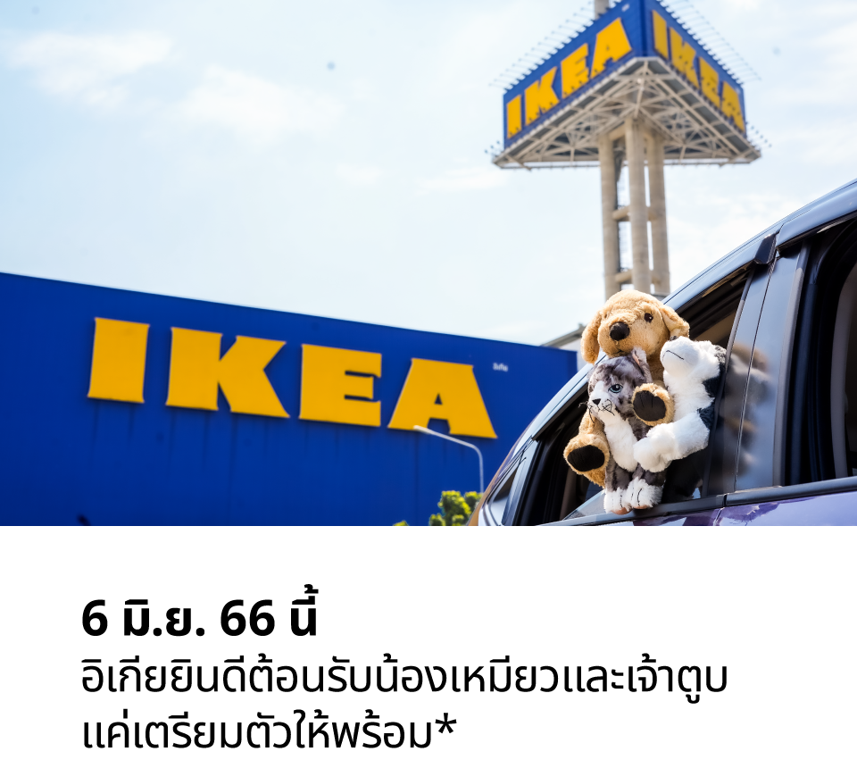IKEA Thailand ให้น้องหมาแมวเข้าไปเดินกับเจ้าของได้แล้วนะ พาน้องหมาแมวไปช้อปกัน