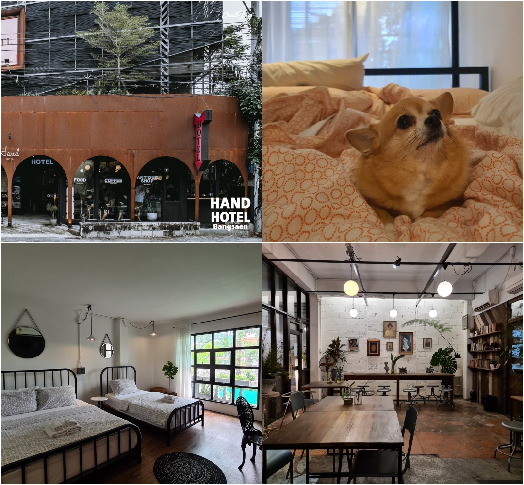 18 ที่พักบางแสนหมาพักได้ 2569 | ติดทะเล-ไม่ติดทะเล วิวสวย หมาใหญ่พักได้