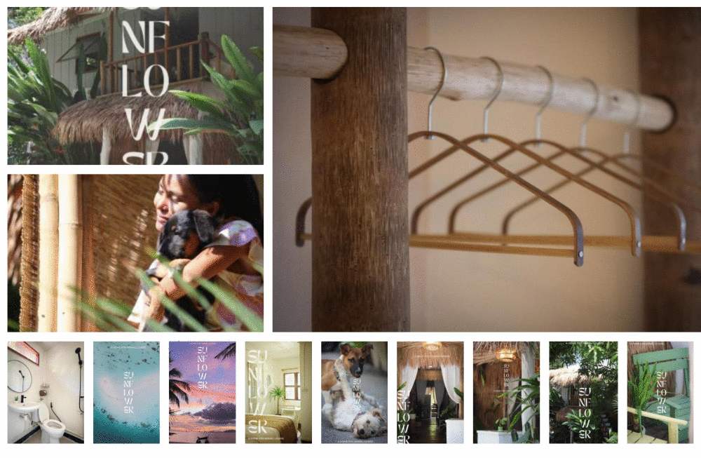 ภาพถ่ายหน้าจอ 2567-03-19 เวลา 16.35.21.png