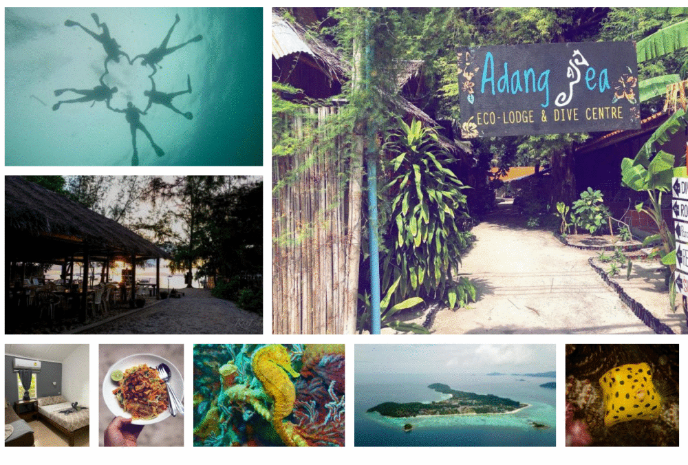 ภาพถ่ายหน้าจอ 2567-03-19 เวลา 16.46.34.png