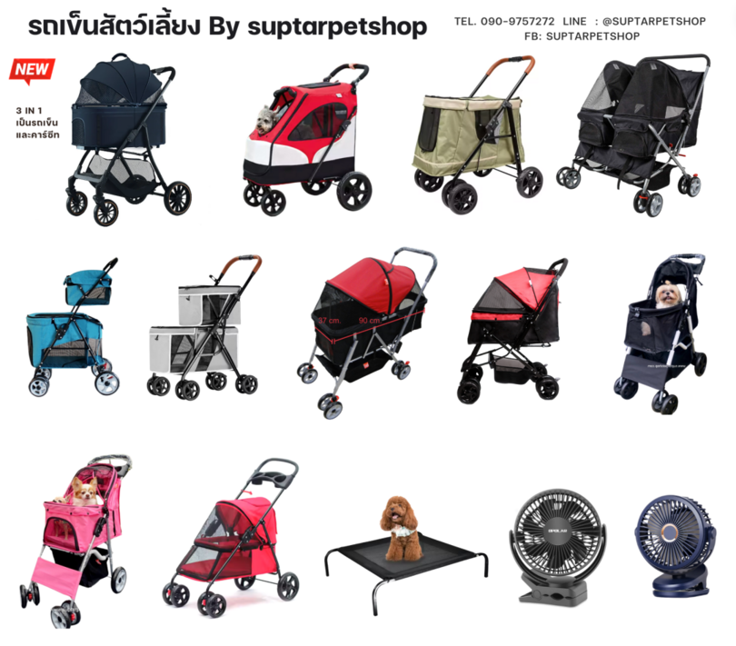 ห้างสัตว์เลี้ยงเข้าได้ในกรุงเทพฯ ปี 2025