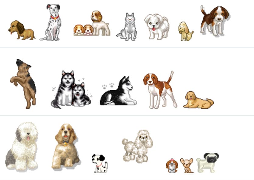 ไอคอนน้องหมา สุดอลังกาล 5 ดาว#1