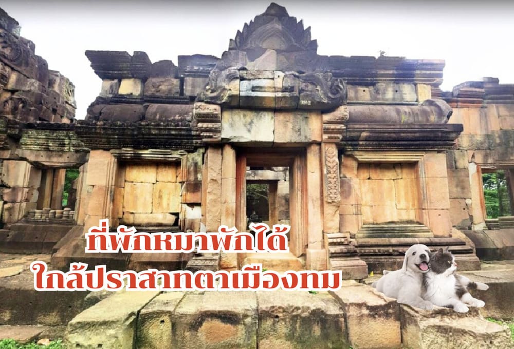 10 ที่พักหมาพักได้ ใกล้ปราสาทตาเมืองธม จ.สุรินทร์–บุรีรัมย์ (อัปเดต 2025)