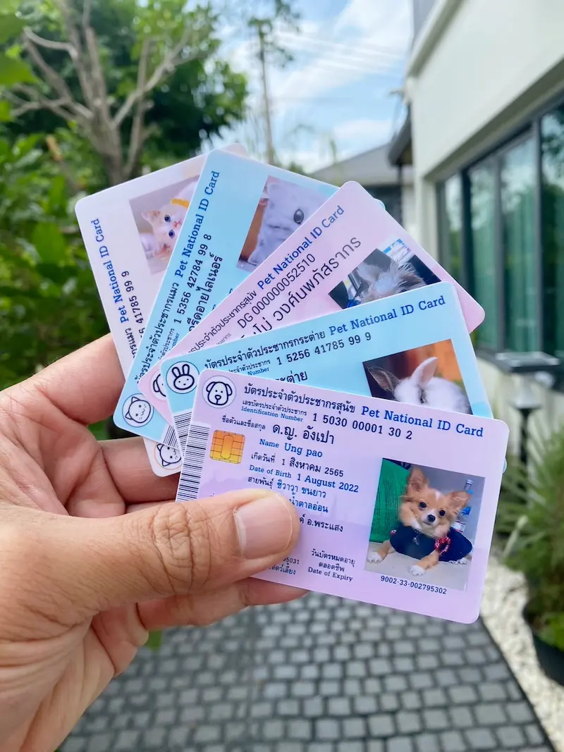 บัตรประชาชนเต่า.webp