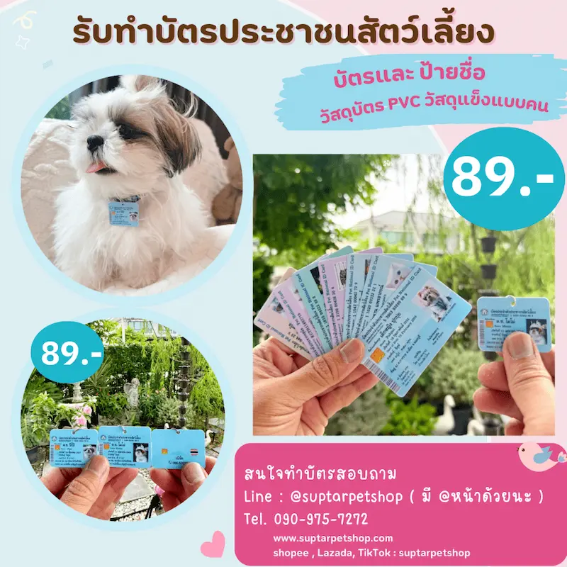 บัตรประชาชนหมาแมว.webp