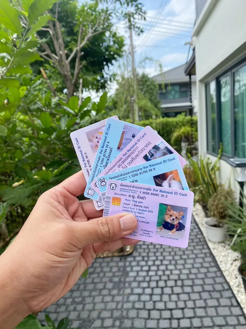 บัตรประชาชนสุนัข.webp