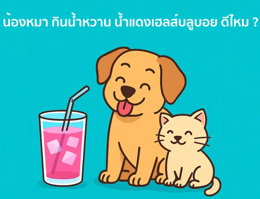 ให้น้องหมากินน้ำหวาน  น้ำแดง เฮลส์บลูบอย ดีไหม ?