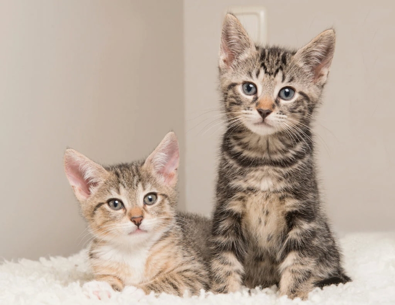 ภาพถ่ายหน้าจอ 2568-08-06 เวลา 10.27.56.jpg