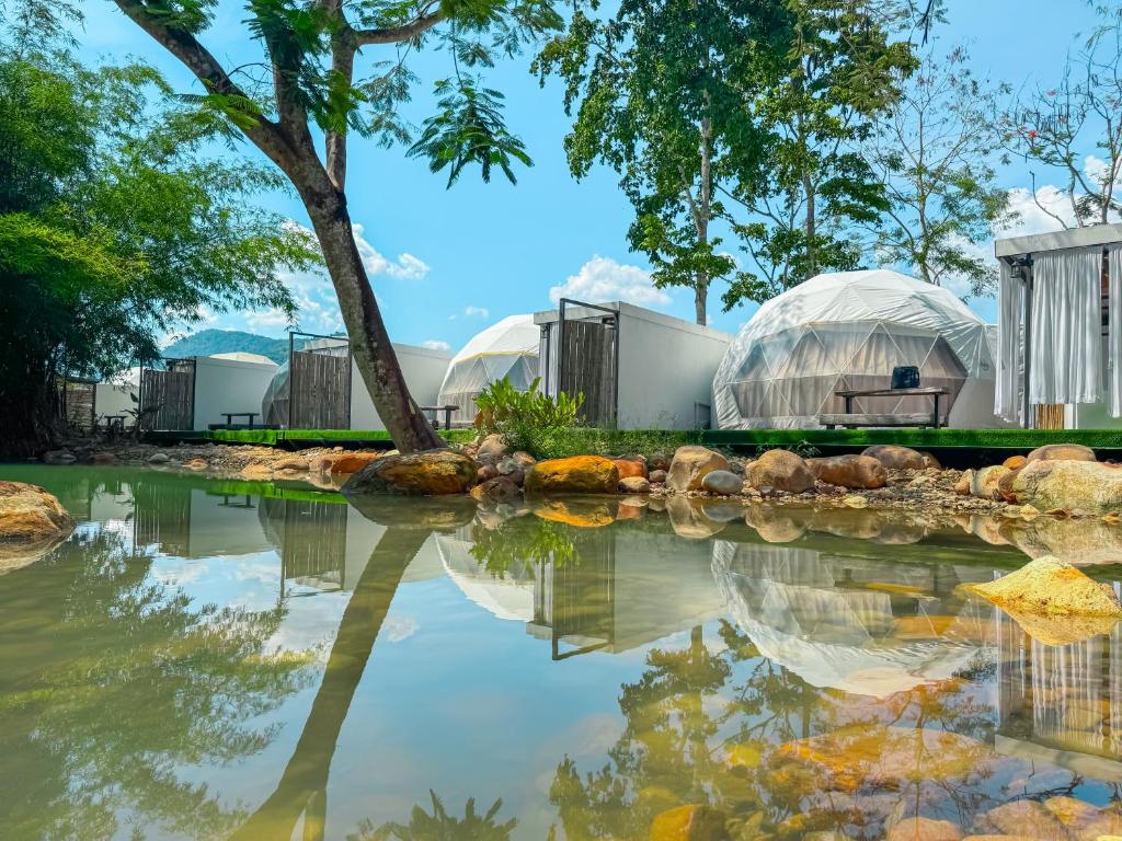 17 ที่พักนครนายก หมาแมวพักได้ 2568