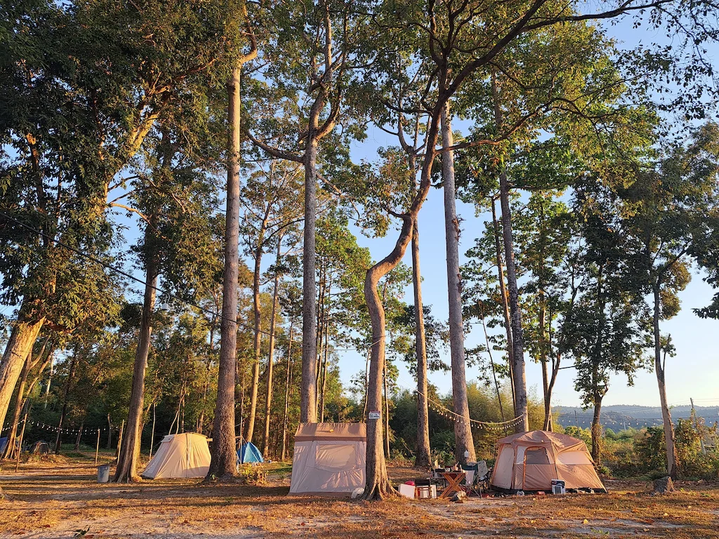 10 ลานกางเต็นท์ นครนายก หมาแมวพักได้ 