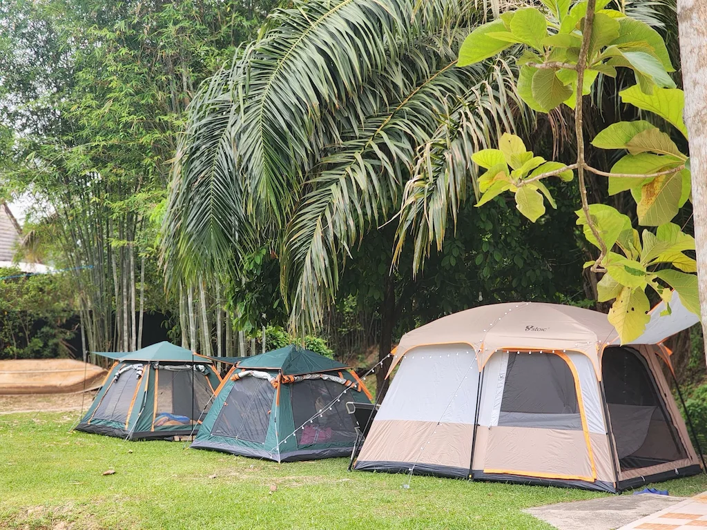 10 ลานกางเต็นท์ นครนายก หมาแมวพักได้ 