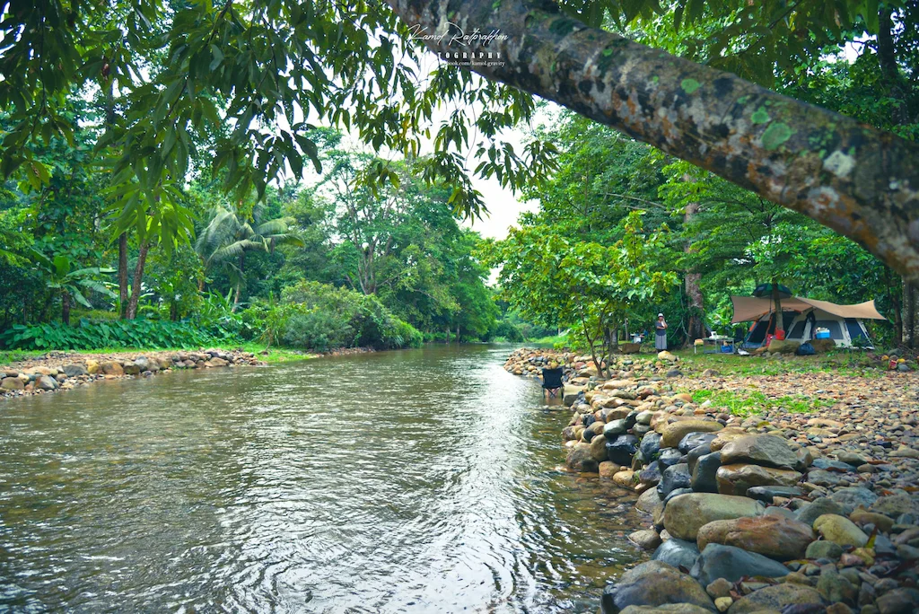 10 ลานกางเต็นท์ นครนายก หมาแมวพักได้ 