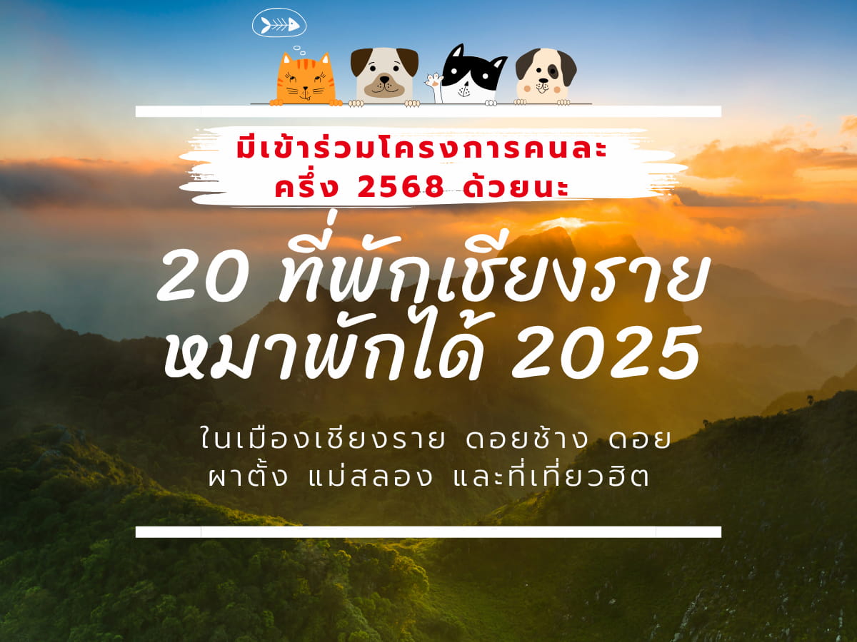 20 ที่พักเชียงราย สัตว์เลี้ยงพักได้ – ดอยช้าง – ดอยผาตั้ง – แม่สลอง และที่เที่ยวฮิต อัปเดต