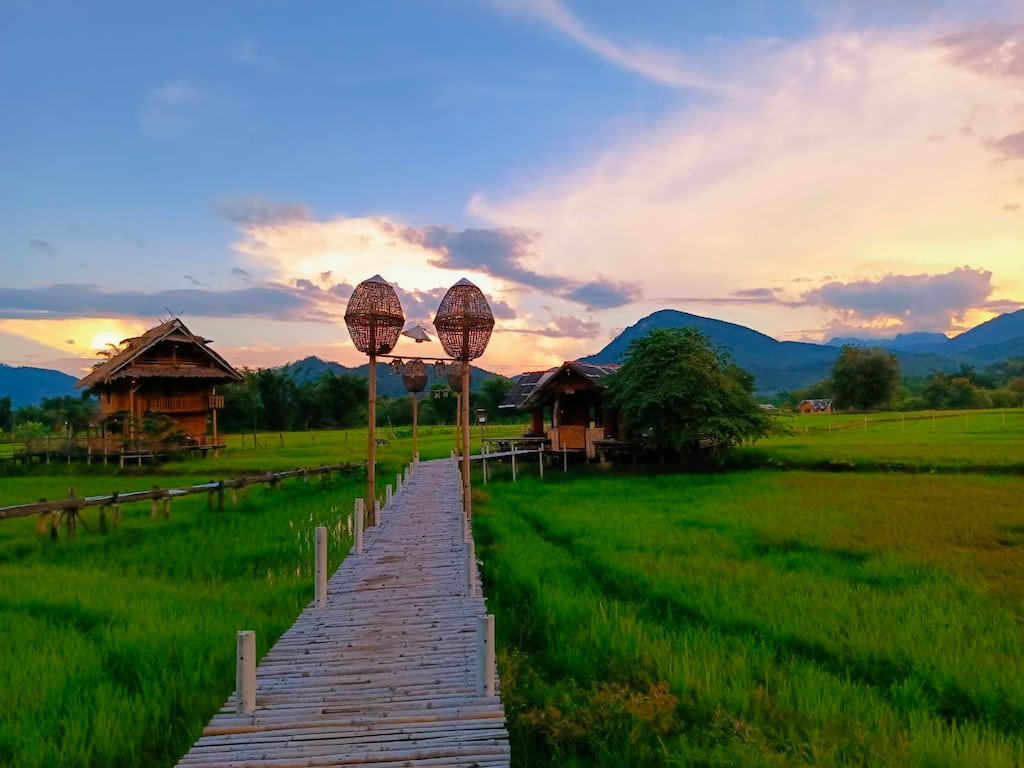 บ้านนอก ฮอกควาย เมืองคองโฮมสเตย์ ที่พักเชียงดาว วิวทุ่งนา–ดอยหลวง หมาแมวพักได้ (หมาใหญ่ก็พักได้ด้วย)