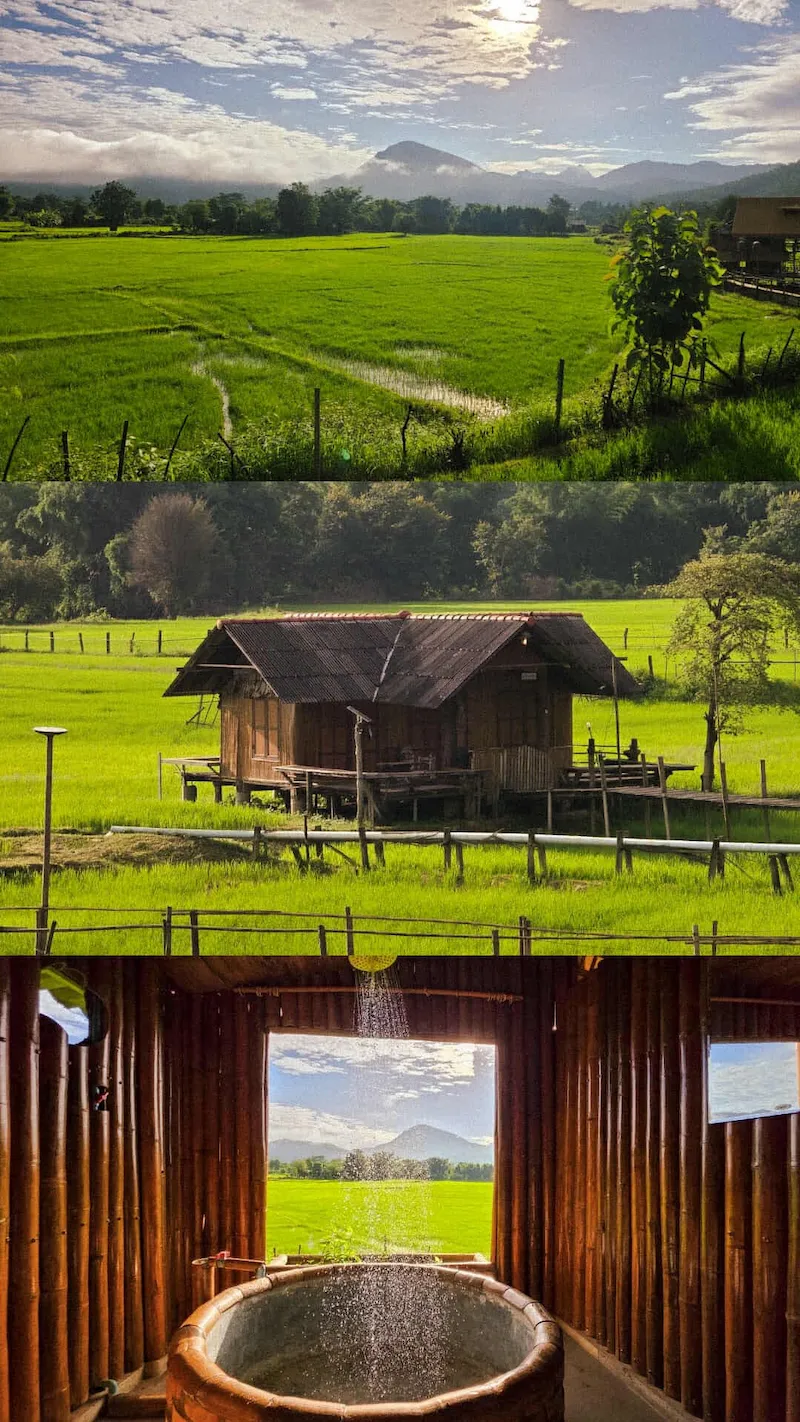 บ้านนอก ฮอกควาย เมืองคองโฮมสเตย์ ที่พักเชียงดาว วิวทุ่งนา–ดอยหลวง หมาแมวพักได้ (หมาใหญ่ก็พักได้ด้วย)