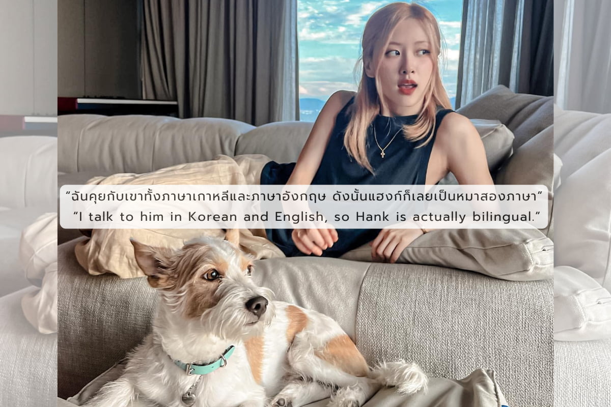 หมาของโรเซ่ BLACKPINK “แฮงค์” สุนัขสองภาษาที่ขโมยหัวใจคนทั่วโลก