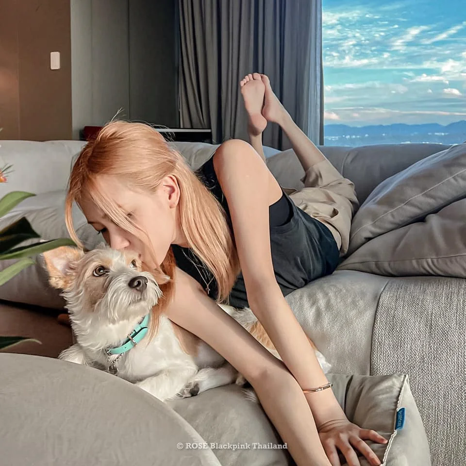 หมาของโรเซ่ BLACKPINK “แฮงค์”