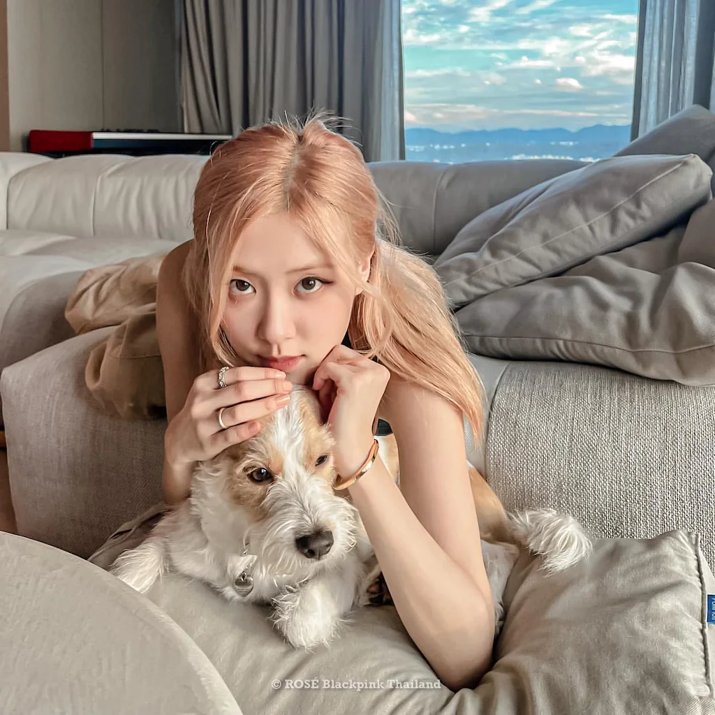หมาของโรเซ่ BLACKPINK “แฮงค์”