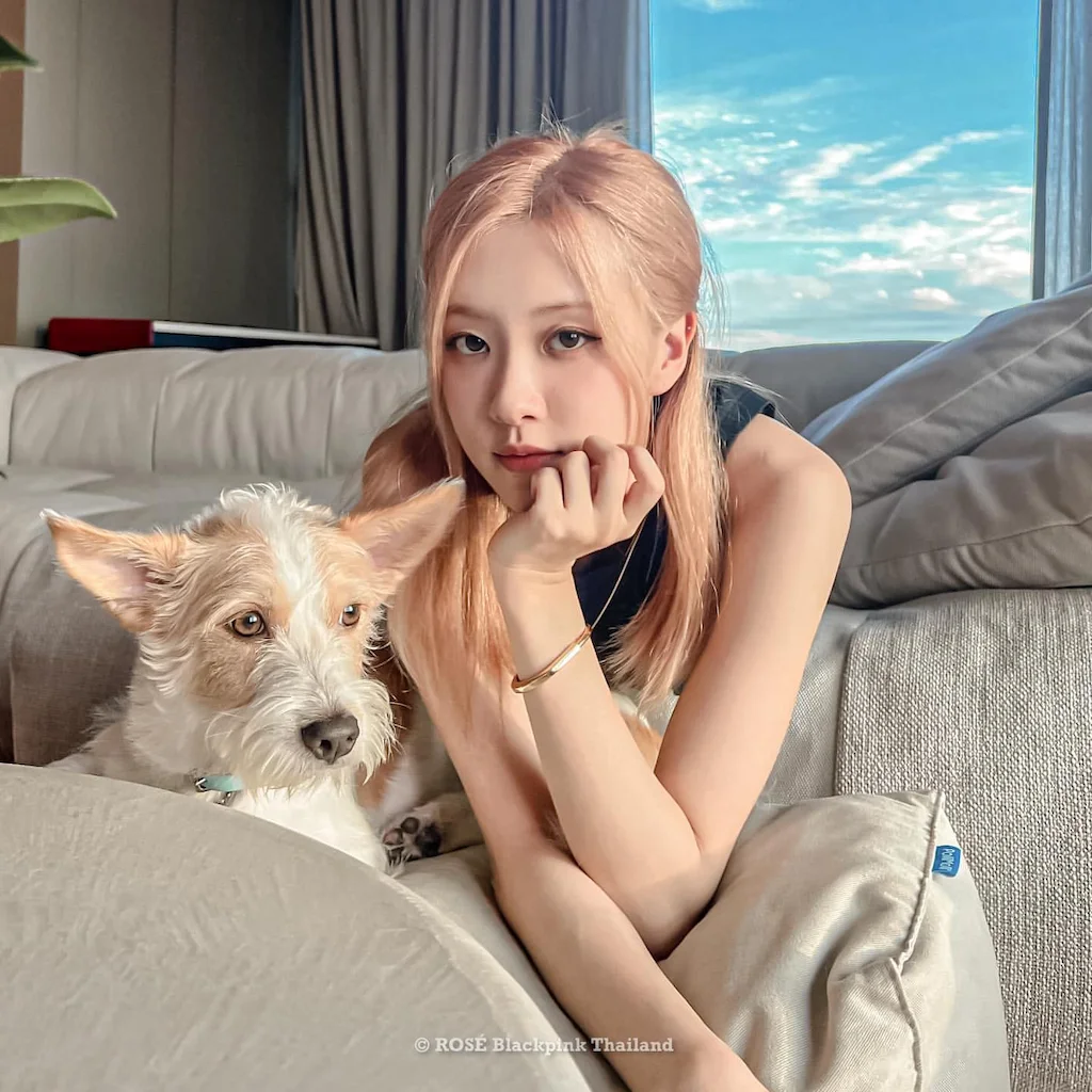 หมาของโรเซ่ BLACKPINK “แฮงค์”