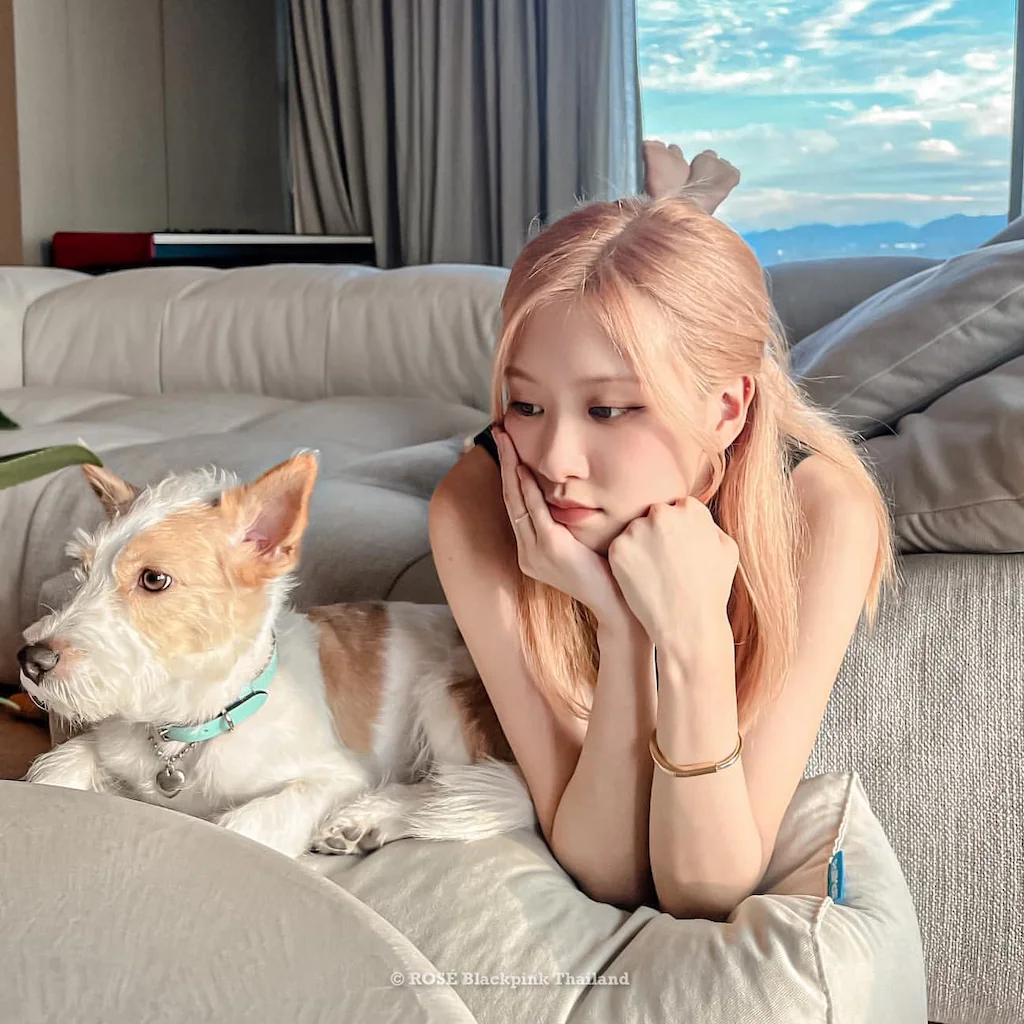 หมาของโรเซ่ BLACKPINK “แฮงค์”