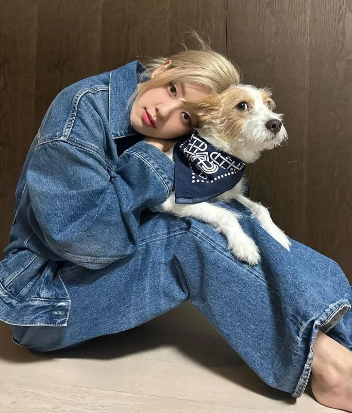 หมาของโรเซ่ BLACKPINK “แฮงค์”