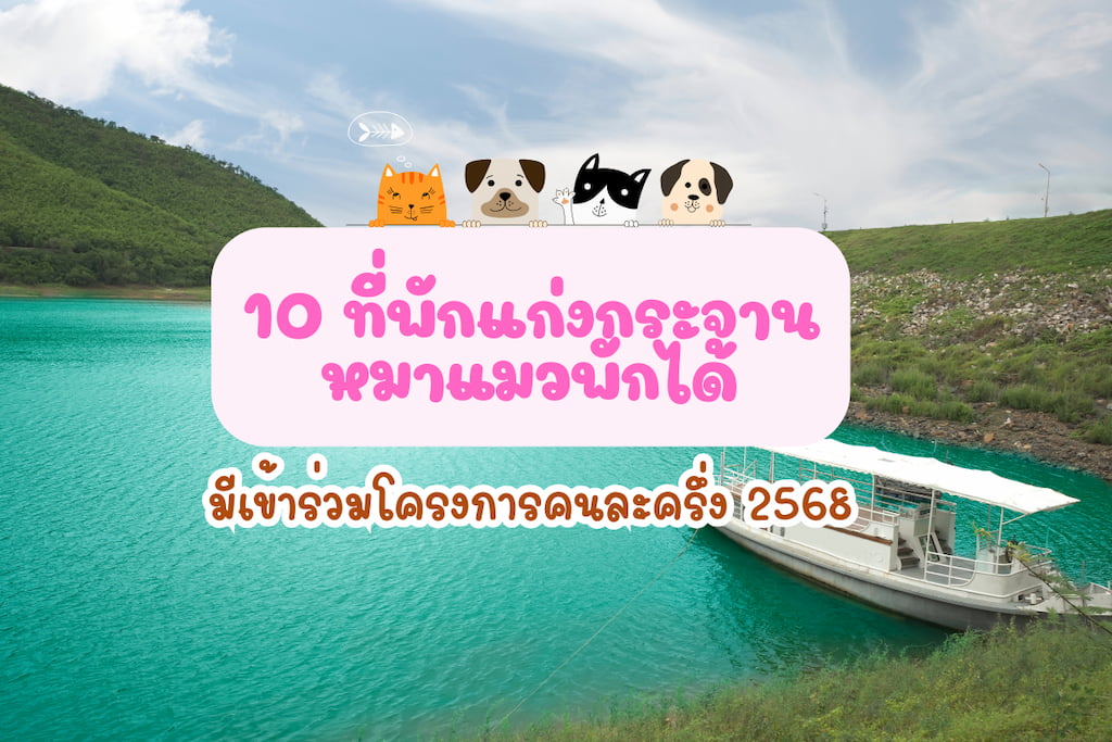 10 ที่พักแก่งกระจาน หมาพักได้ (Pet Friendly) ติดริมน้ำ วิวสวย อัปเดต 2568