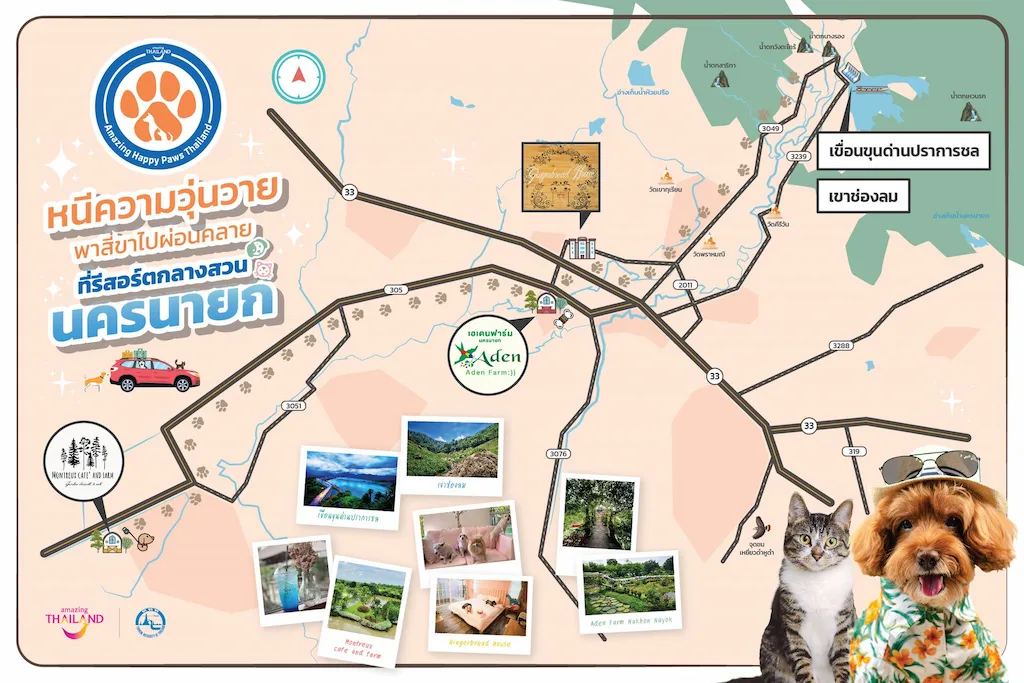 5 เส้นทางสุดฟิน Amazing Happy Paws Thailand 2568 ? พาหมาแมวเที่ยวทั่วไทย แบบ Pet Friendly