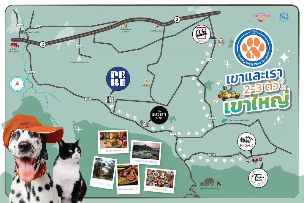 5 เส้นทางสุดฟิน Amazing Happy Paws Thailand 2568 ? พาหมาแมวเที่ยวทั่วไทย แบบ Pet Friendly