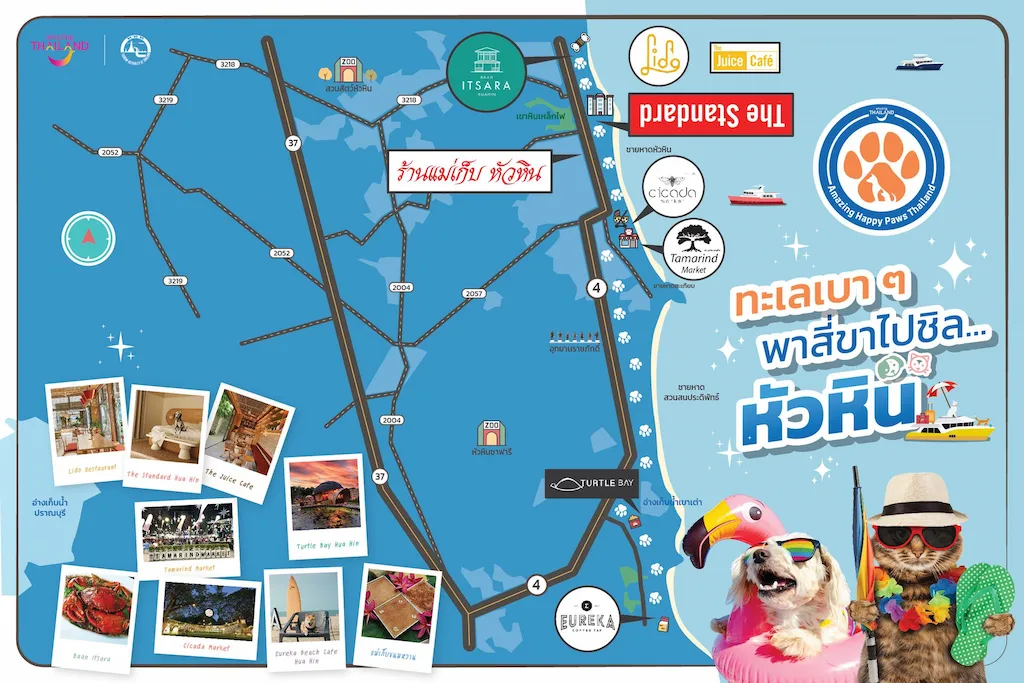 5 เส้นทางสุดฟิน Amazing Happy Paws Thailand 2568 ? พาหมาแมวเที่ยวทั่วไทย แบบ Pet Friendly