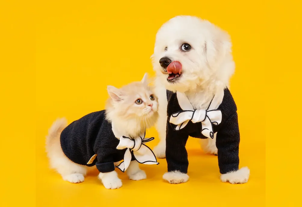 5 เส้นทางสุดฟิน Amazing Happy Paws Thailand 2568 ? พาหมาแมวเที่ยวทั่วไทย แบบ Pet Friendly