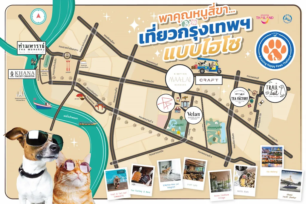 5 เส้นทางสุดฟิน Amazing Happy Paws Thailand 2568 ? พาหมาแมวเที่ยวทั่วไทย แบบ Pet Friendly