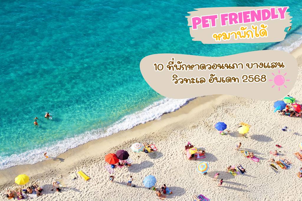 10 ที่พักหาดวอนนภา บางแสน หมาพักได้ (Pet Friendly) | อัปเดต 2569