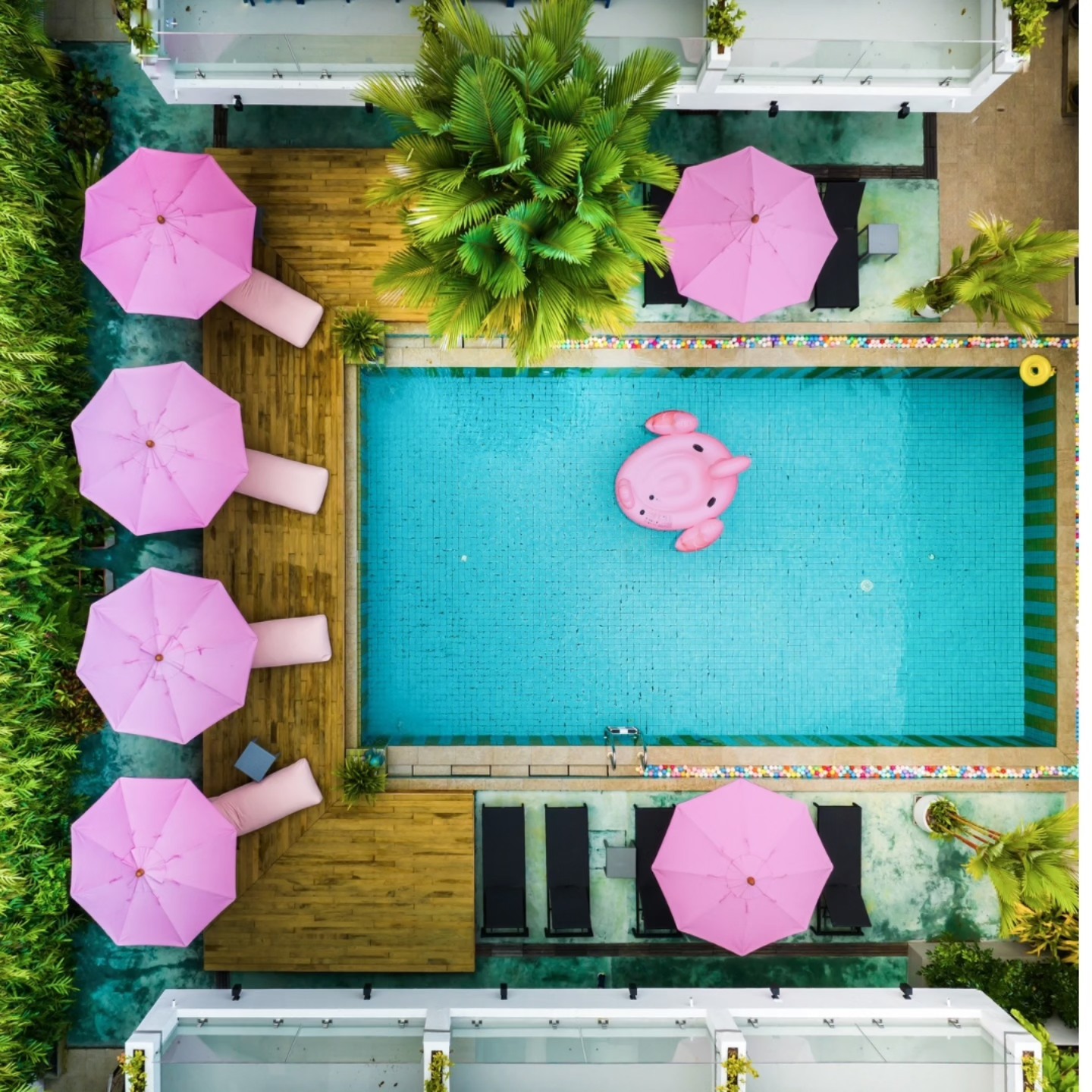 ภูเก็ต หมาพักได้ แนะนำที่พัก โรงแรม รีสอร์ท ในตัวเมือง ชายหาด เกาะ สัตว์เลี้ยงพักได้