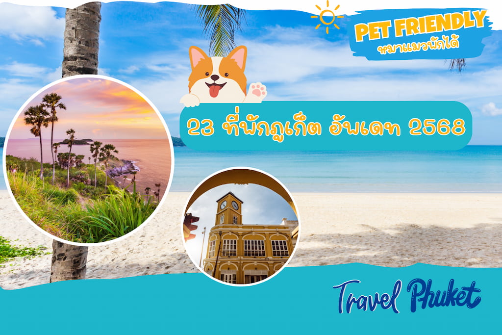 23 ที่พักภูเก็ต Pet Friendly ใกล้ทะเลหลายโซน & ในเมือง | อัปเดต 2025 เริ่มหลักร้อย